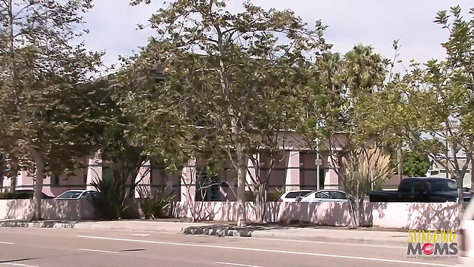 Cliente Confundido Recibe Una Garganta Profunda De Una Bibliotecaria Cachonda